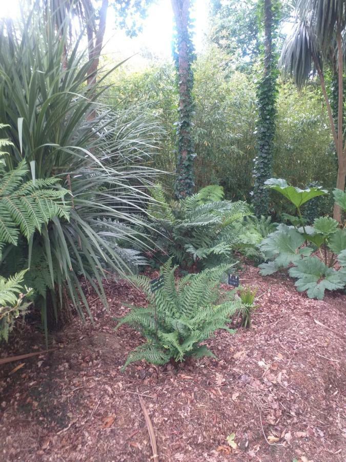 Un Jardin En Pente Douce Villa Locquenole Exterior photo
